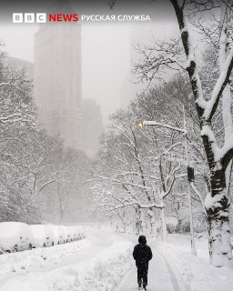 Иллюстрация 3