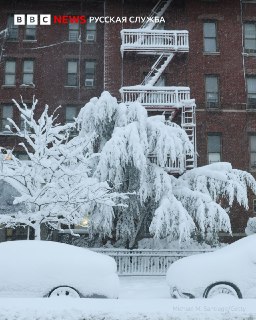 Иллюстрация 1