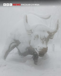 Иллюстрация 5