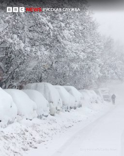 Иллюстрация 6