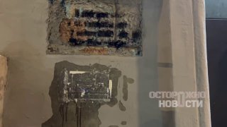 Мемориальную табличку Политковской сорвали в 23-й раз