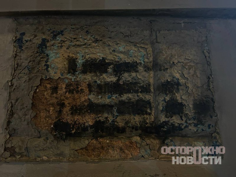 Иллюстрация 4