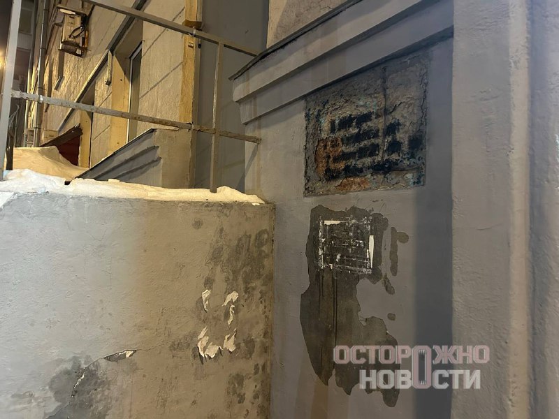 Иллюстрация 1