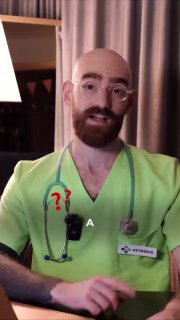 Форма лап кота раскрывает его характер