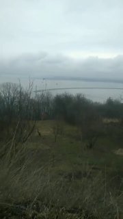 Иллюстрация 5