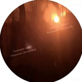 Иллюстрация 1