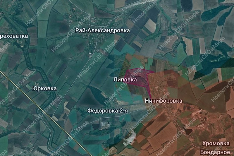 Села Липовка и Никифоровка перешли под контроль Армии России