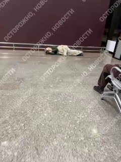 Иллюстрация 3