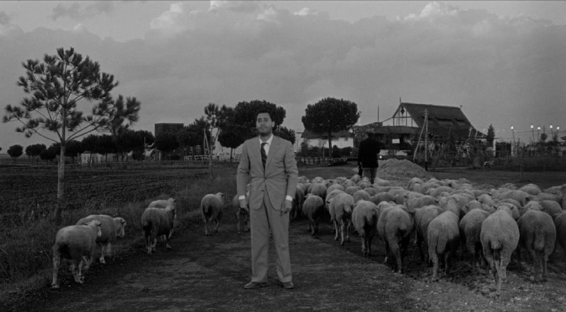 Иллюстрация 7