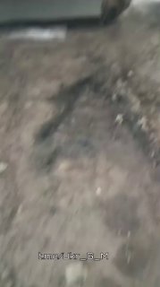 Иллюстрация 4