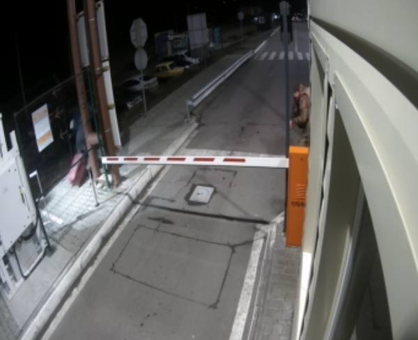 Иллюстрация 2