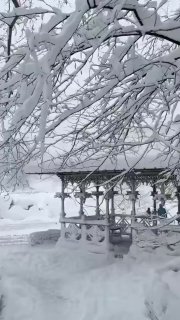 Иллюстрация 4