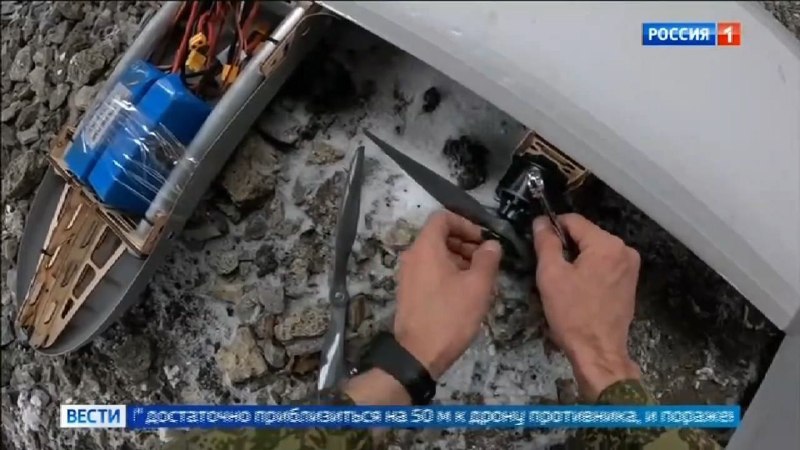 Иллюстрация 3