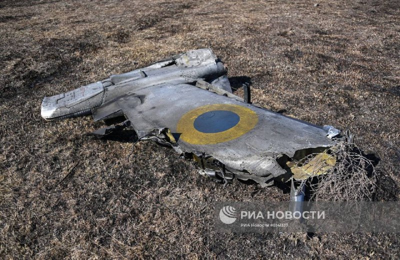 Иллюстрация 3