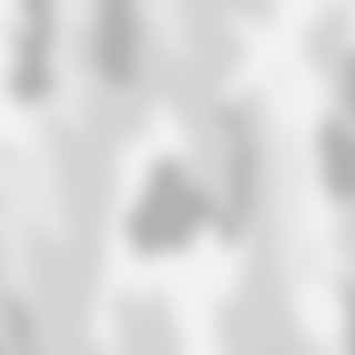 Ветеран боевых действий представил песню «СВО»