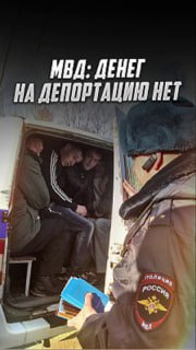 Критика бюджетной политики и состояния правопорядка в России