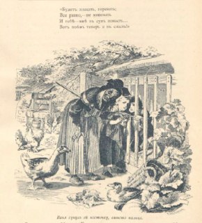 Иллюстрация 1