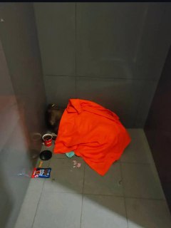 Иллюстрация 1