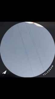 Боня в приюте, «Додо Пицца» предложила помощь