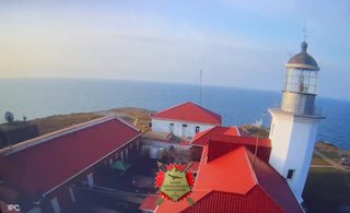 Кадры удара по острову Змеиный в день начала спецоперации