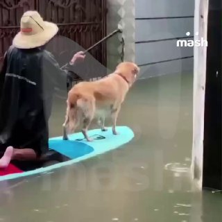 Иллюстрация 1