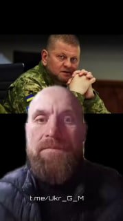 Критика власти и политическая ситуация в Украине