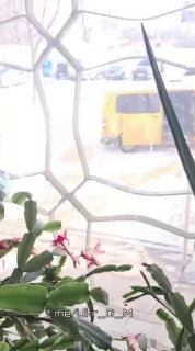 На Украине продолжаются рейды по призыву на военную службу