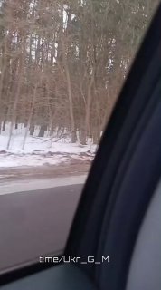 Иллюстрация 3