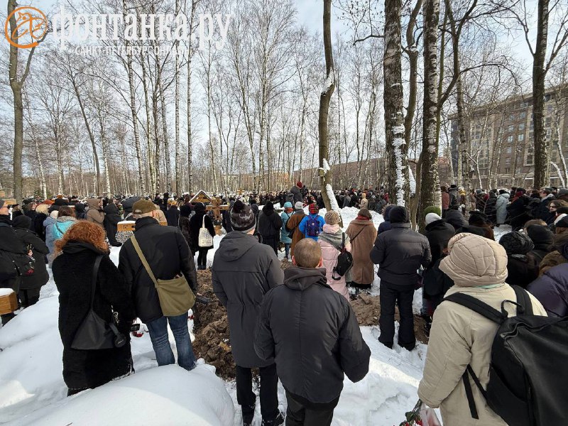 Иллюстрация 2