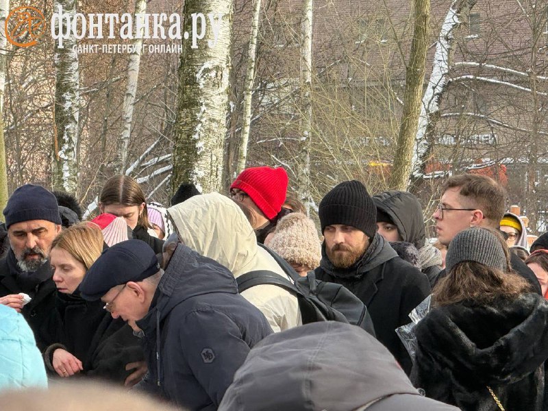 Иллюстрация 3