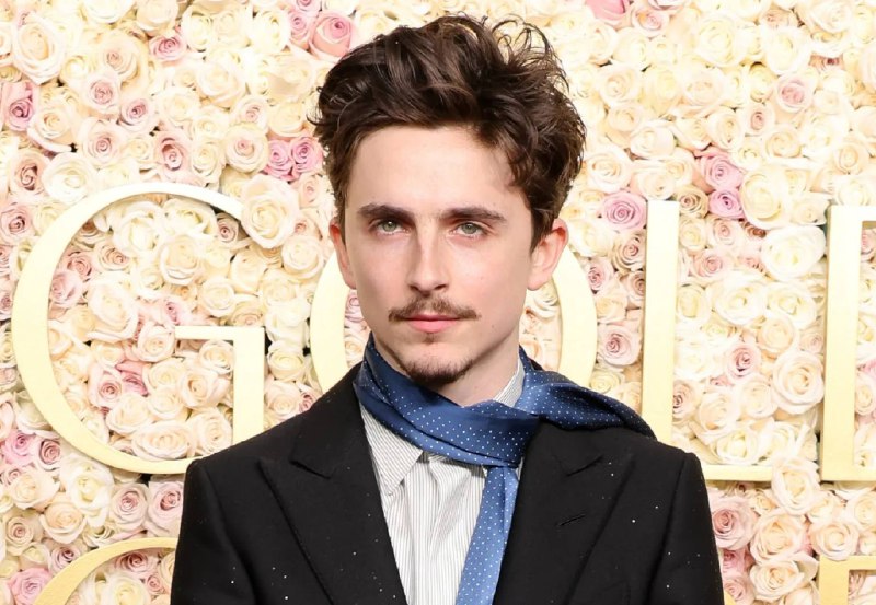 Тимоти Шаламе рассказал об унизительном замечании коллеги по съемочной площадке