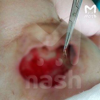 Иллюстрация 2