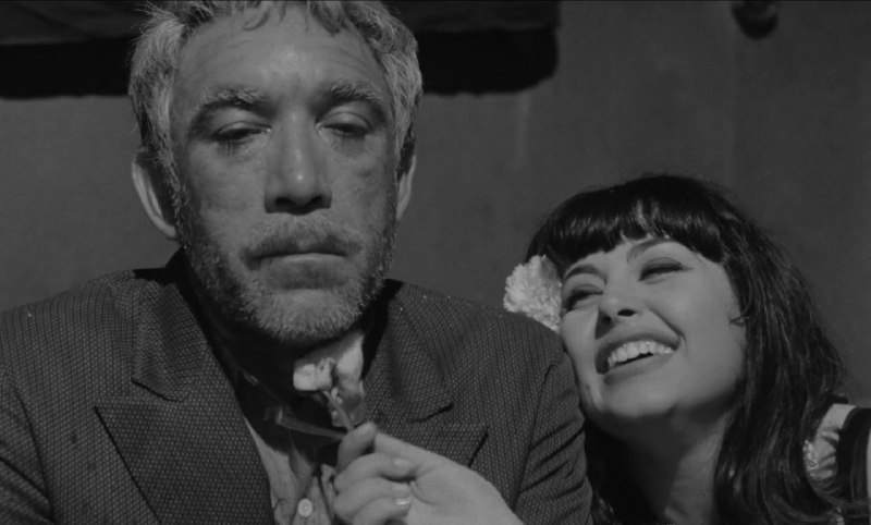 Иллюстрация 3