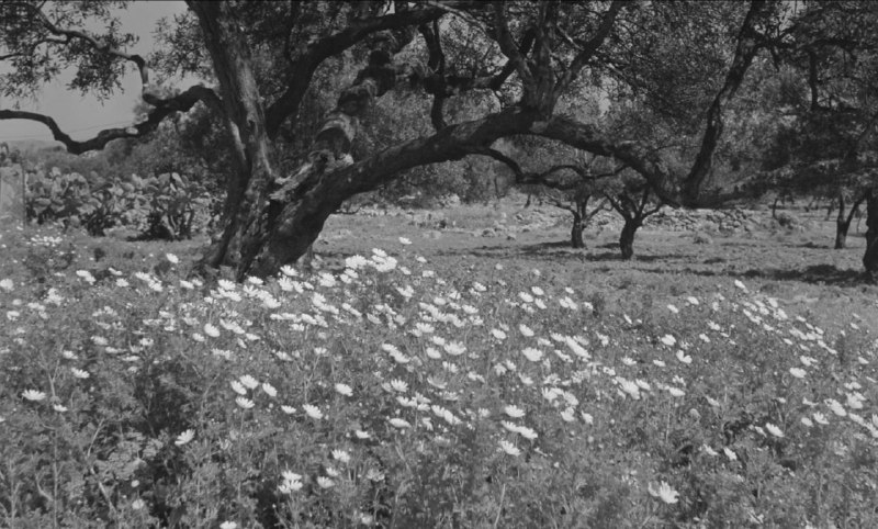 Иллюстрация 4