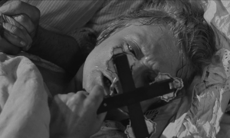 Иллюстрация 5