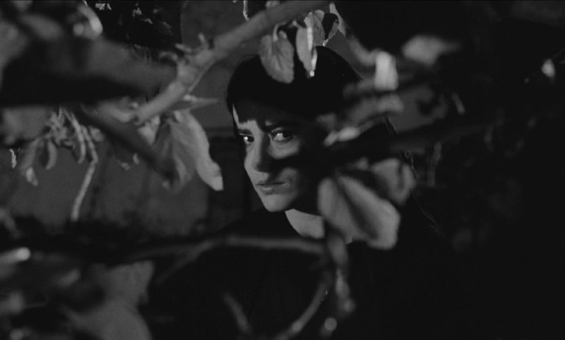 Иллюстрация 9