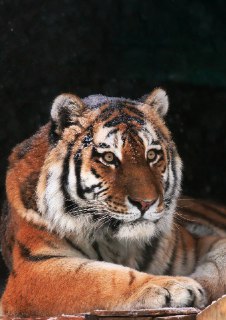 Иллюстрация 4