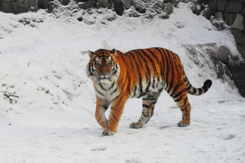 Иллюстрация 5