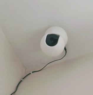 Иллюстрация 2