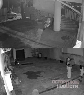 Иллюстрация 1