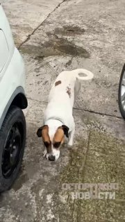 Иллюстрация 2