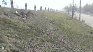 Иллюстрация 3