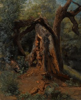 Описание картины Лагорио «Старое дерево»