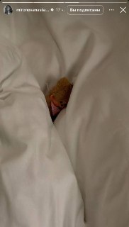 Иллюстрация 5