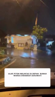 Иллюстрация 2