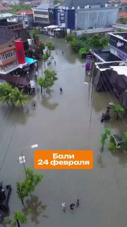 Иллюстрация 4