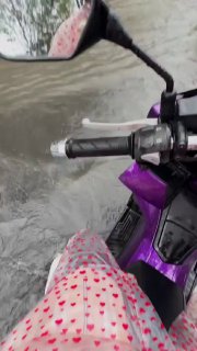 Иллюстрация 5