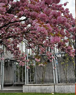 Иллюстрация 3