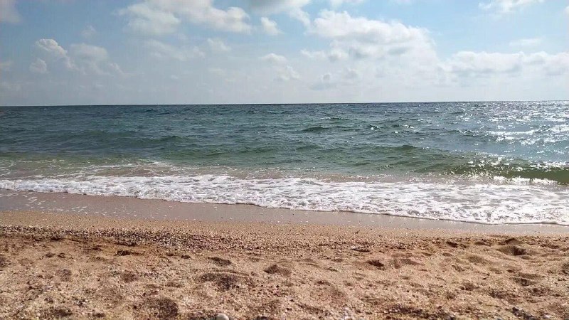 Азовское море очищается от вредных веществ