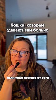 Топ-4 самых богатых кошек мира